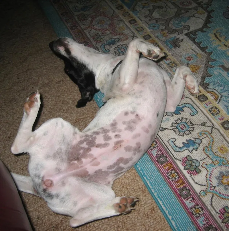 Sally thumbnail 2
