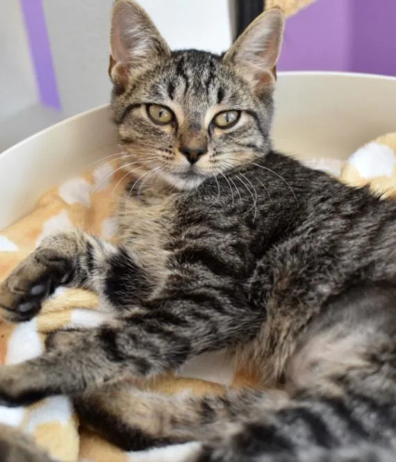 Leeloo thumbnail 4