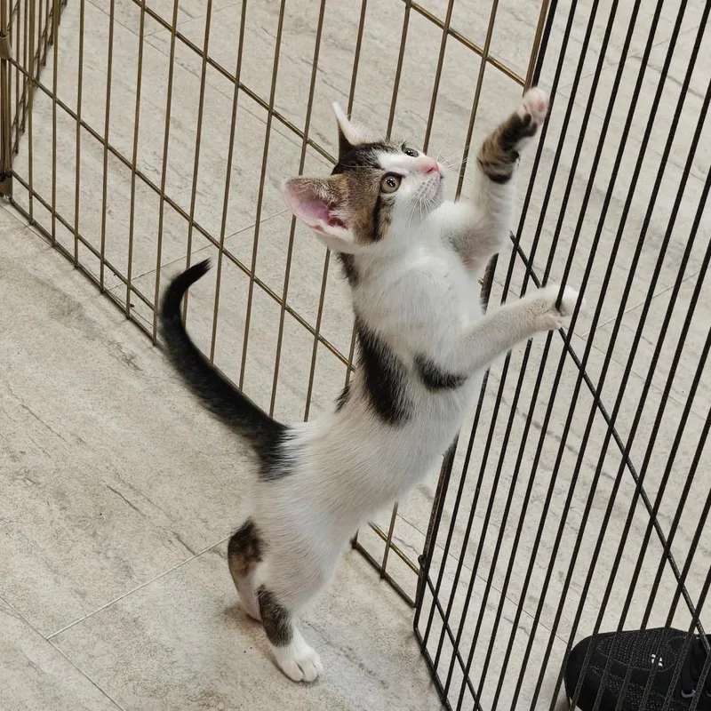 Dot aka Dottie thumbnail 2