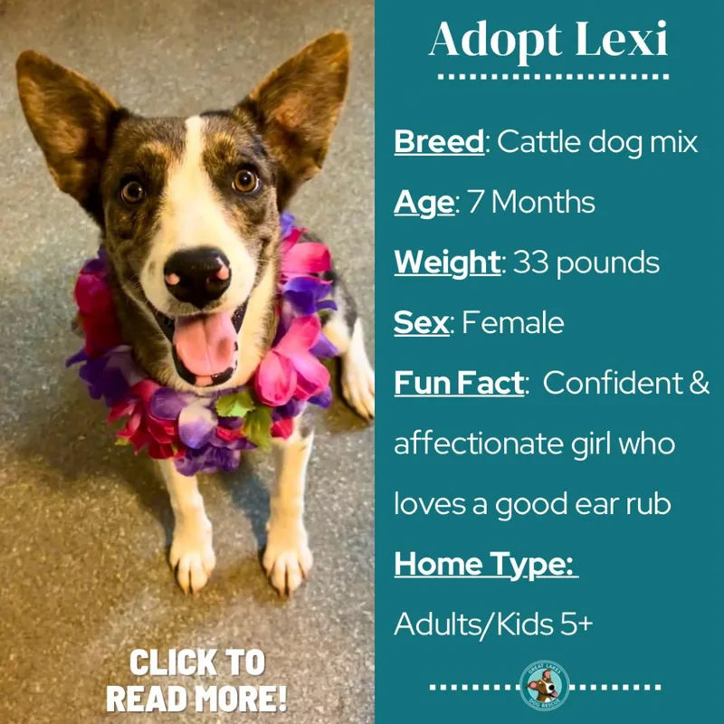 Lexi thumbnail 3