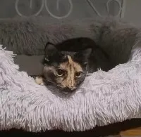 Esmerelda thumbnail 2