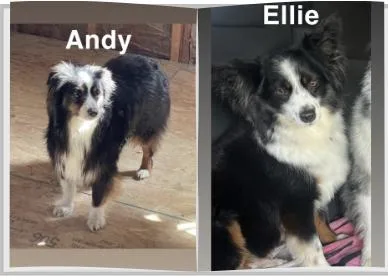 Andy and Ellie  thumbnail 6