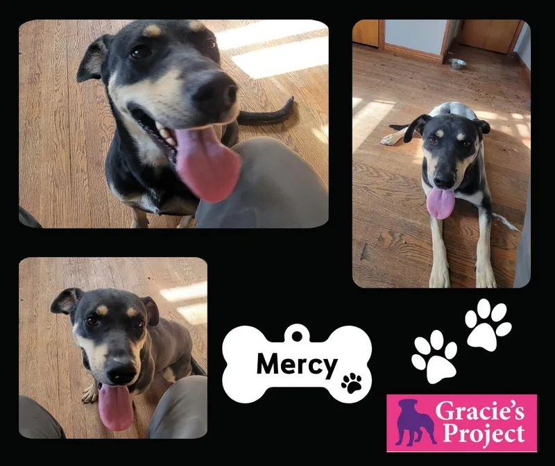 Mercy thumbnail 2