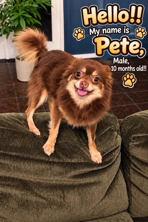 Pete