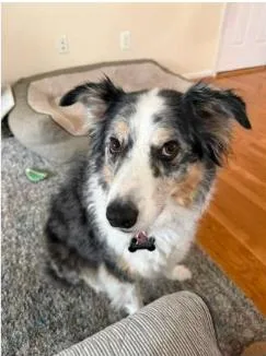 Bonnie