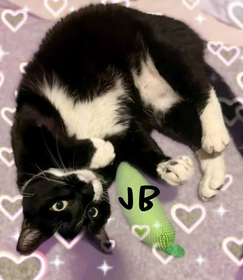 Jb