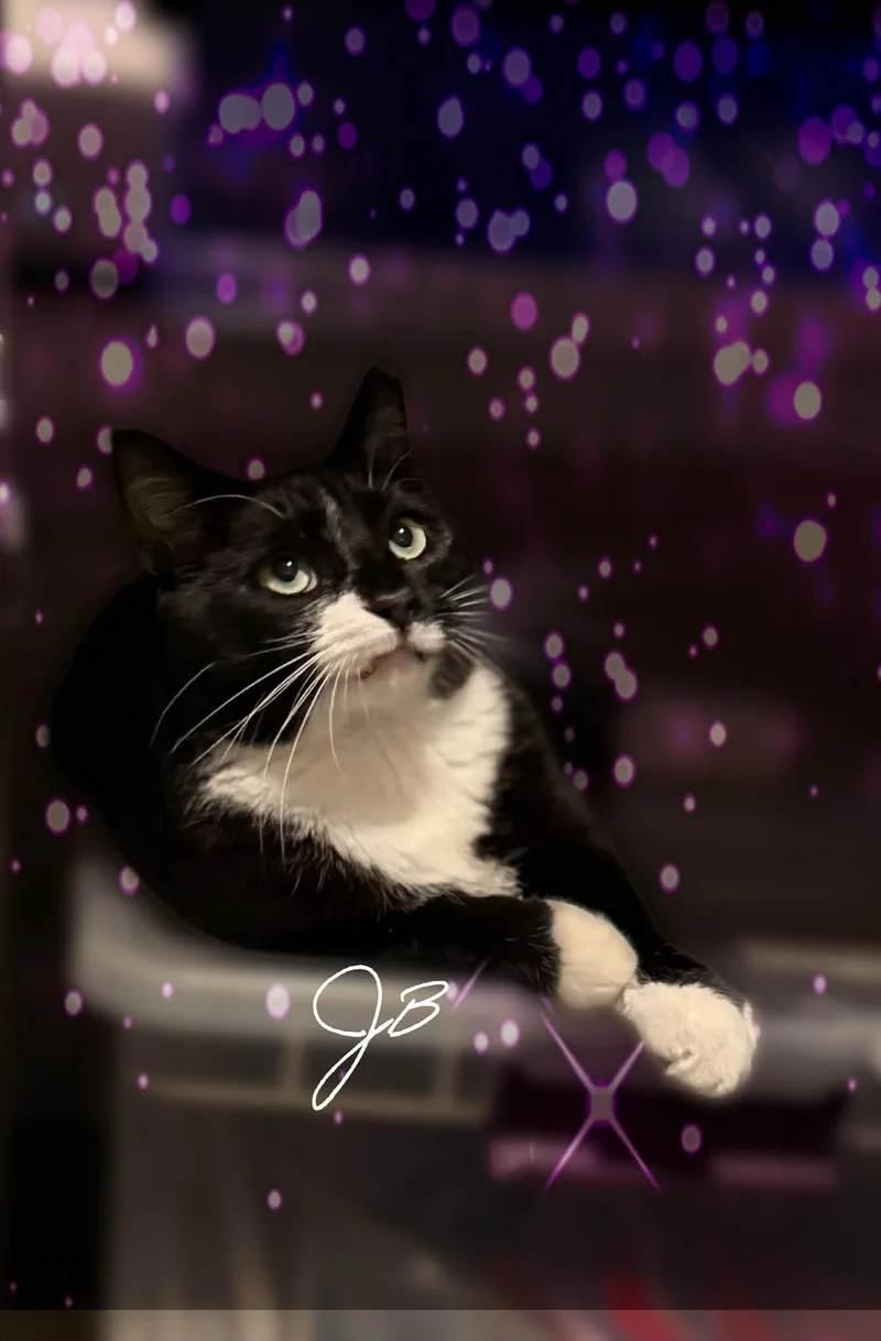 Jb thumbnail 2