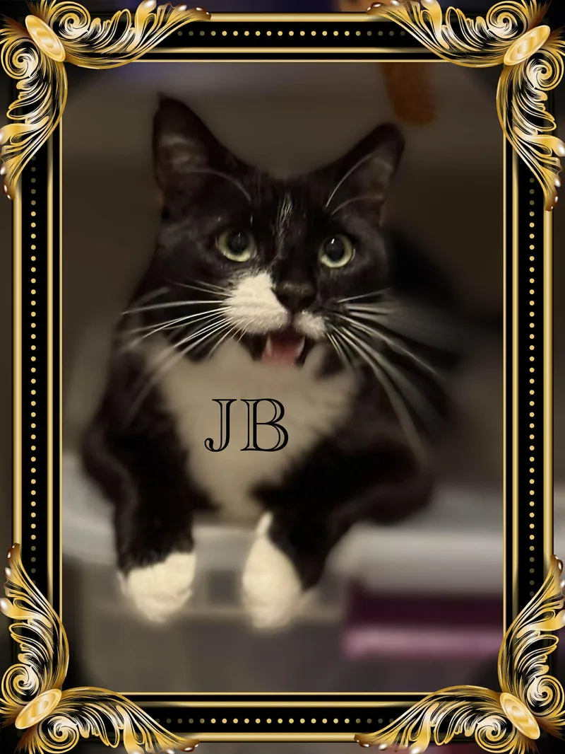 Jb thumbnail 3