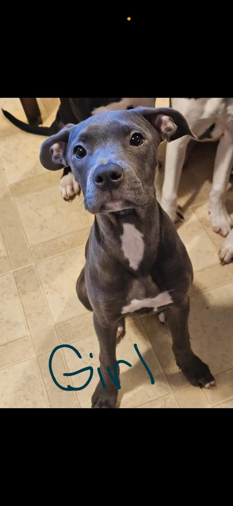 Urgent! Smokey & Co thumbnail 2