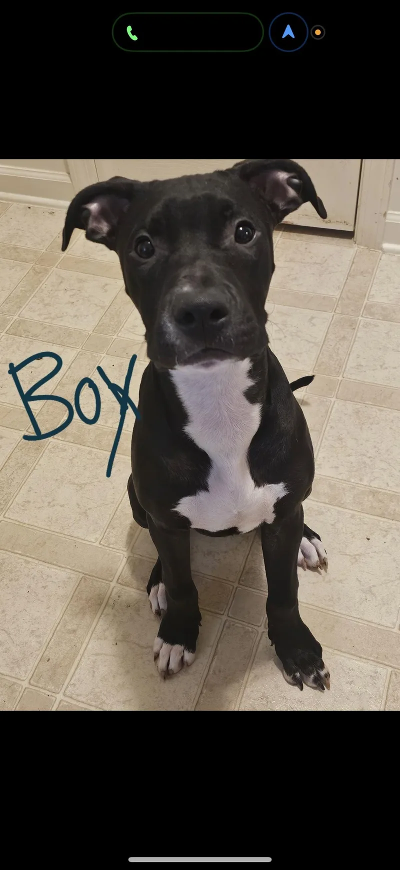 Urgent! Smokey & Co thumbnail 3