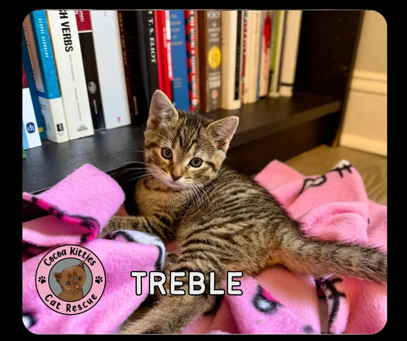 Treble thumbnail 2