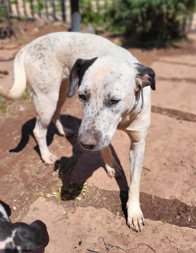 Valentina thumbnail 2