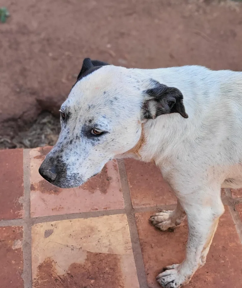 Valentina thumbnail 4