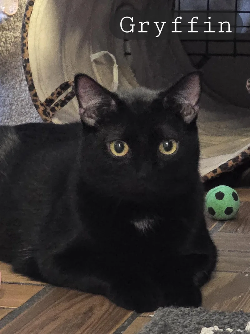 Mama Gretchen  Griffin thumbnail 2