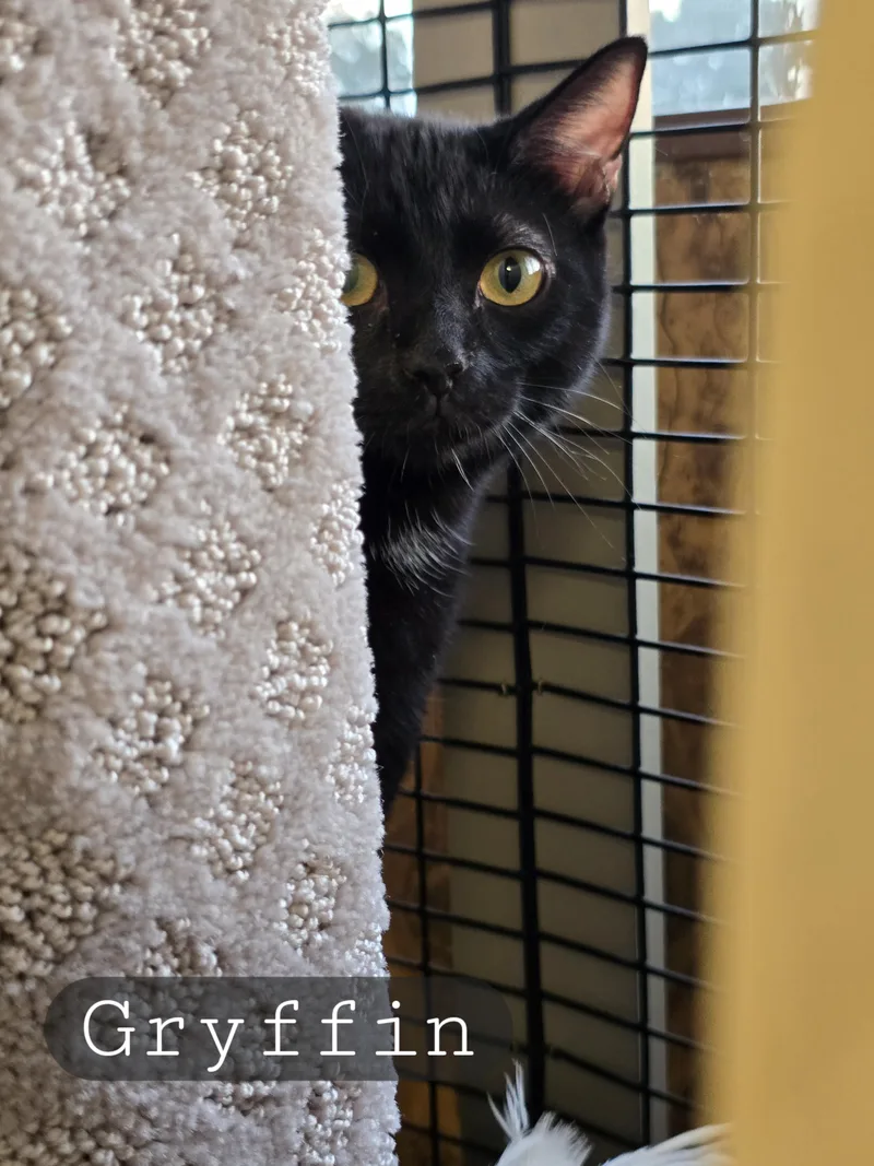 Mama Gretchen  Griffin thumbnail 3