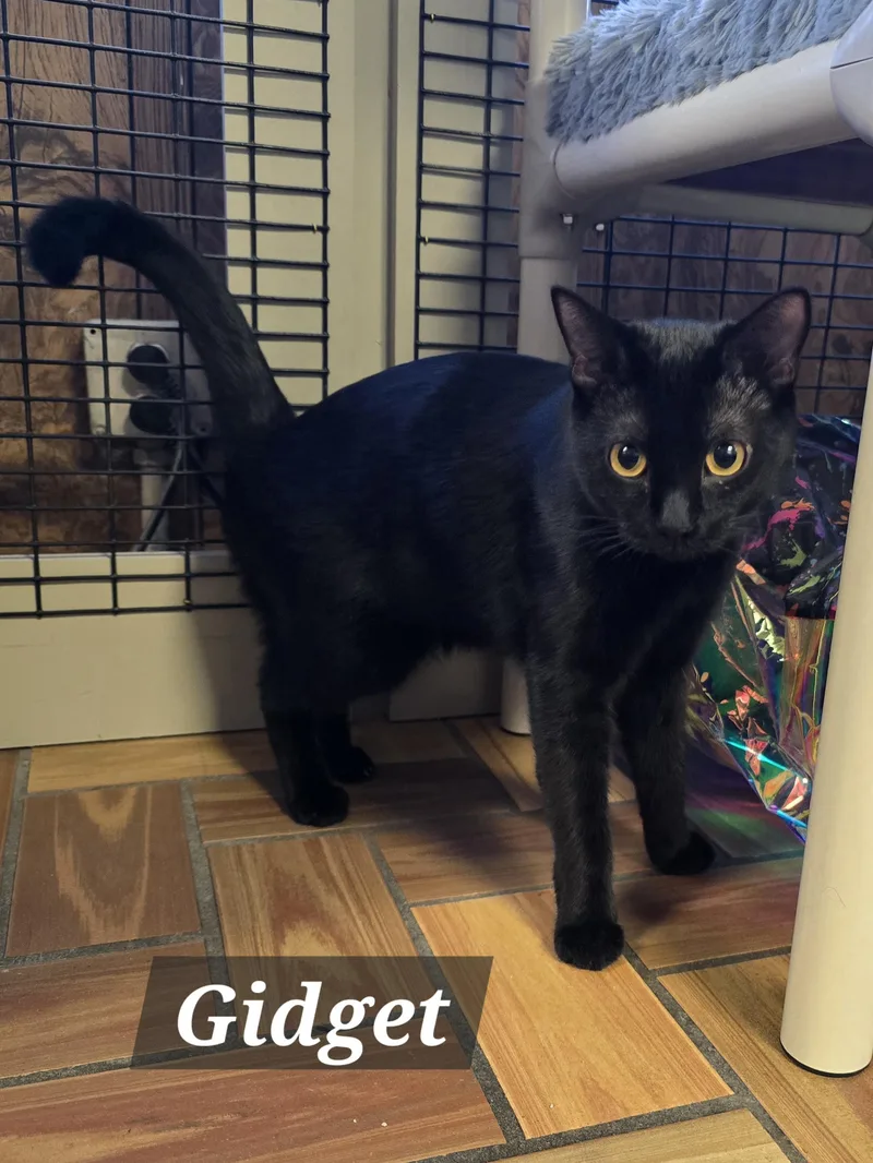 Mama Gretchen  Griffin thumbnail 4