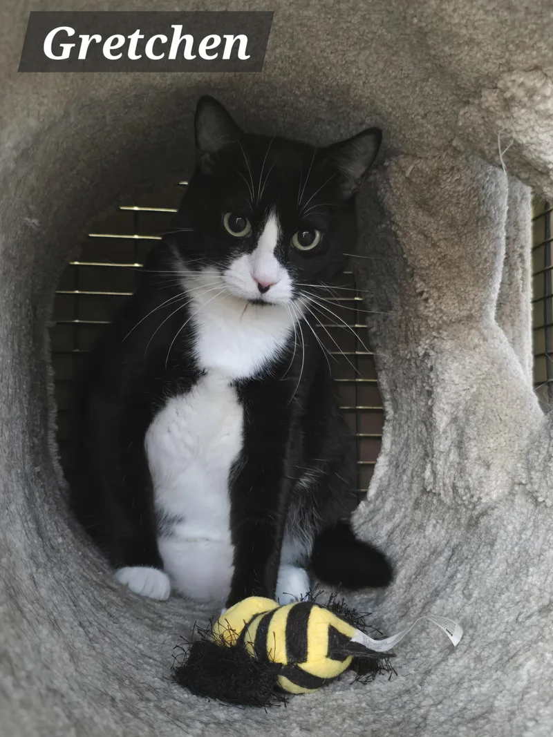 Mama Gretchen  Griffin