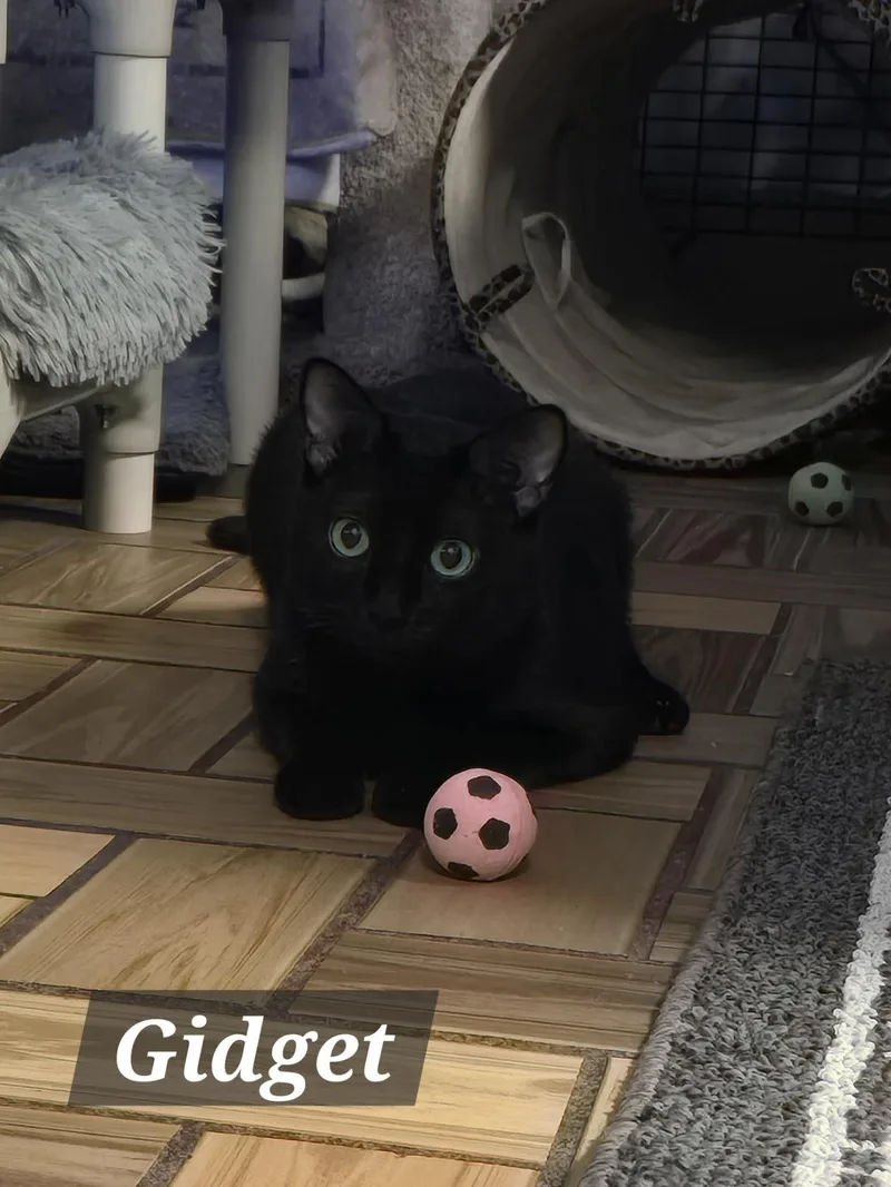 Mama Gretchen  Griffin thumbnail 5