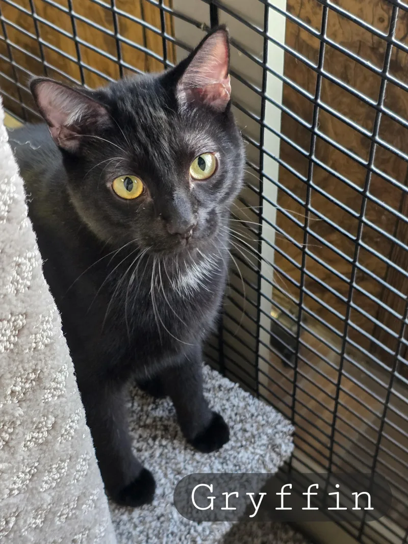 Mama Gretchen  Griffin thumbnail 6