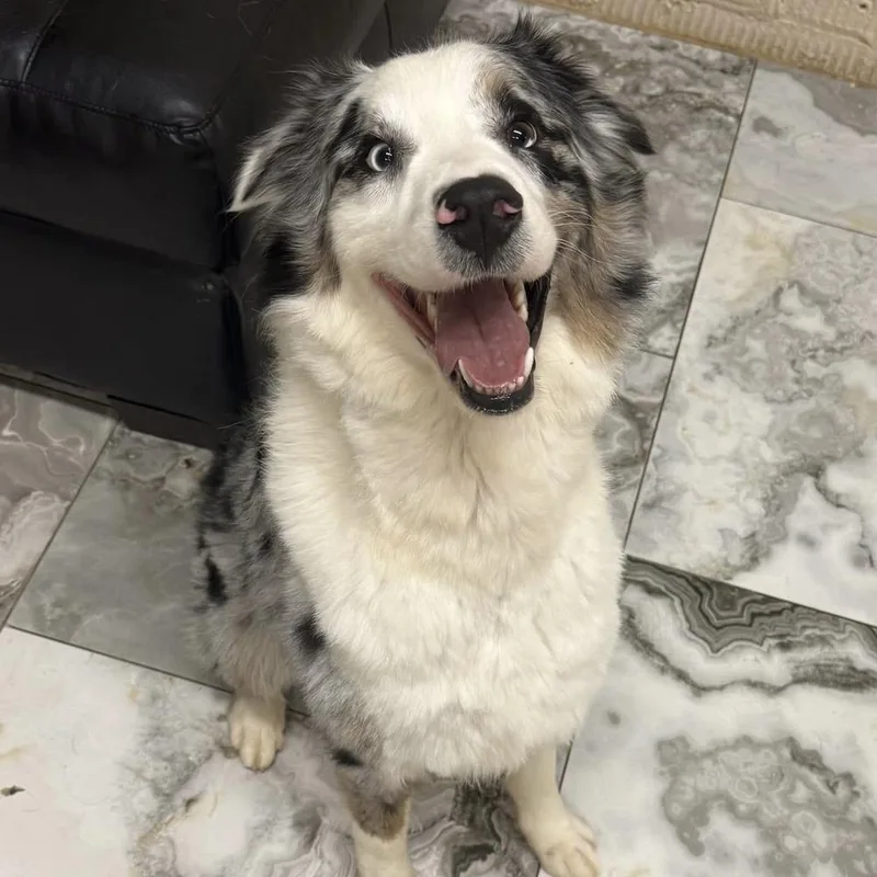 Sam