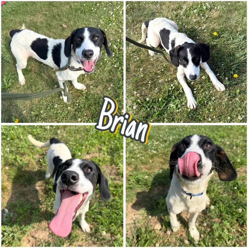 Brian thumbnail 5