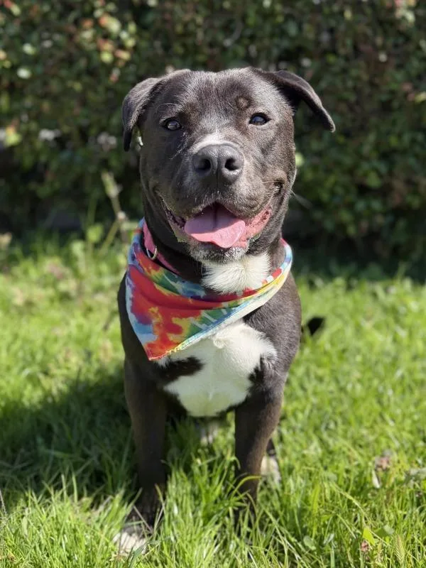 Mr. Fantastic thumbnail 2