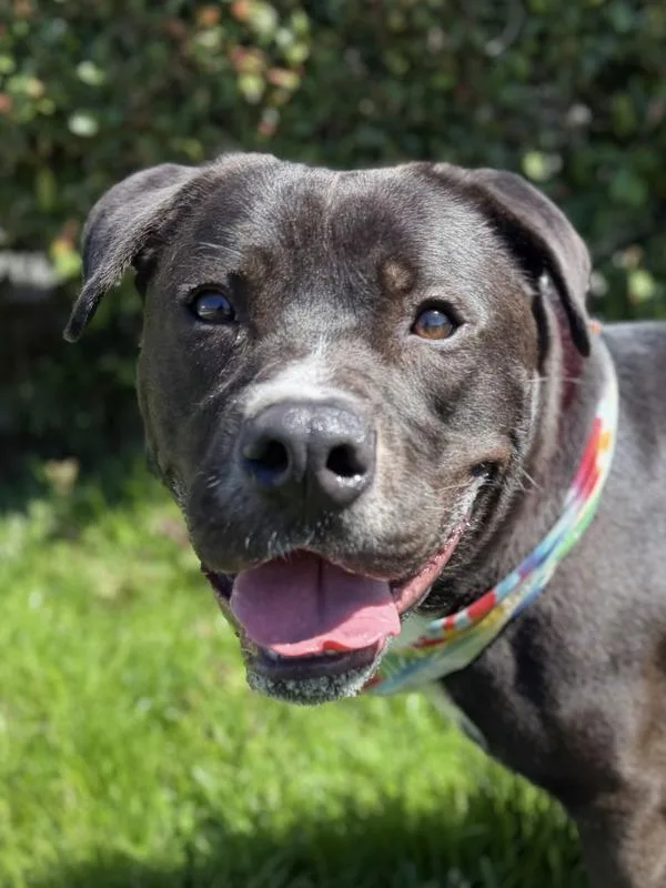 Mr. Fantastic thumbnail 5