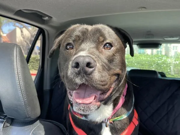 Mr. Fantastic thumbnail 6