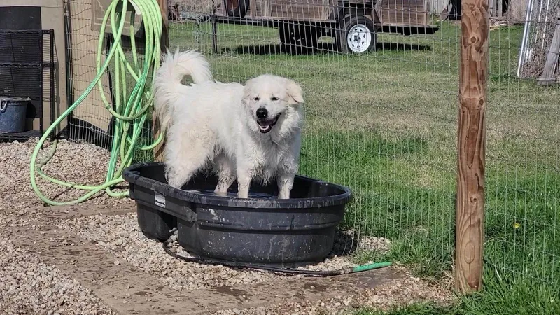 Zoey Yvette Aka Findley thumbnail 2