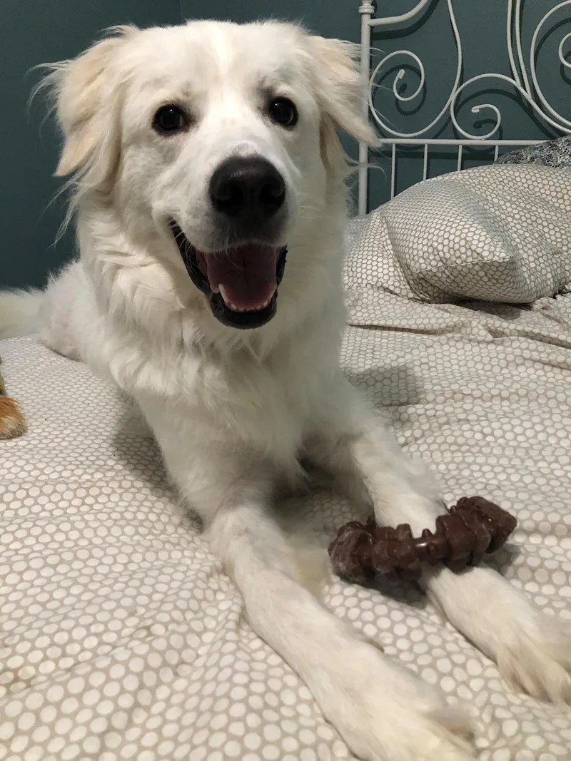 Zoey Yvette Aka Findley thumbnail 4