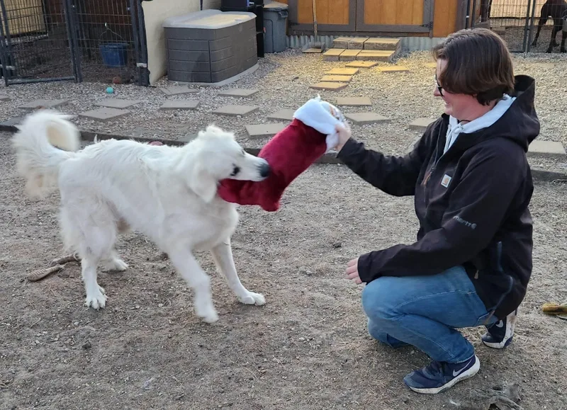 Zoey Yvette Aka Findley thumbnail 5