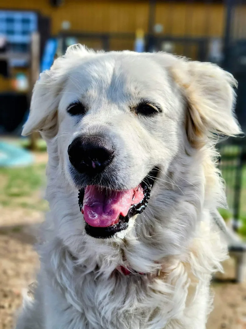 Zoey Yvette Aka Findley thumbnail 6