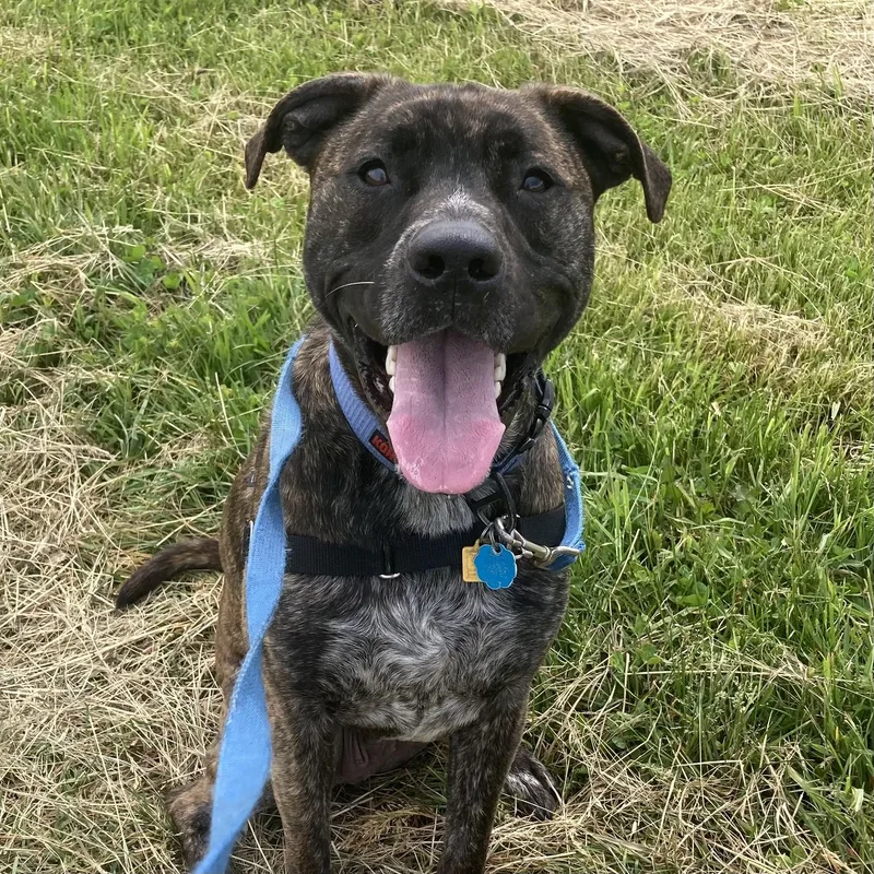 Zeke