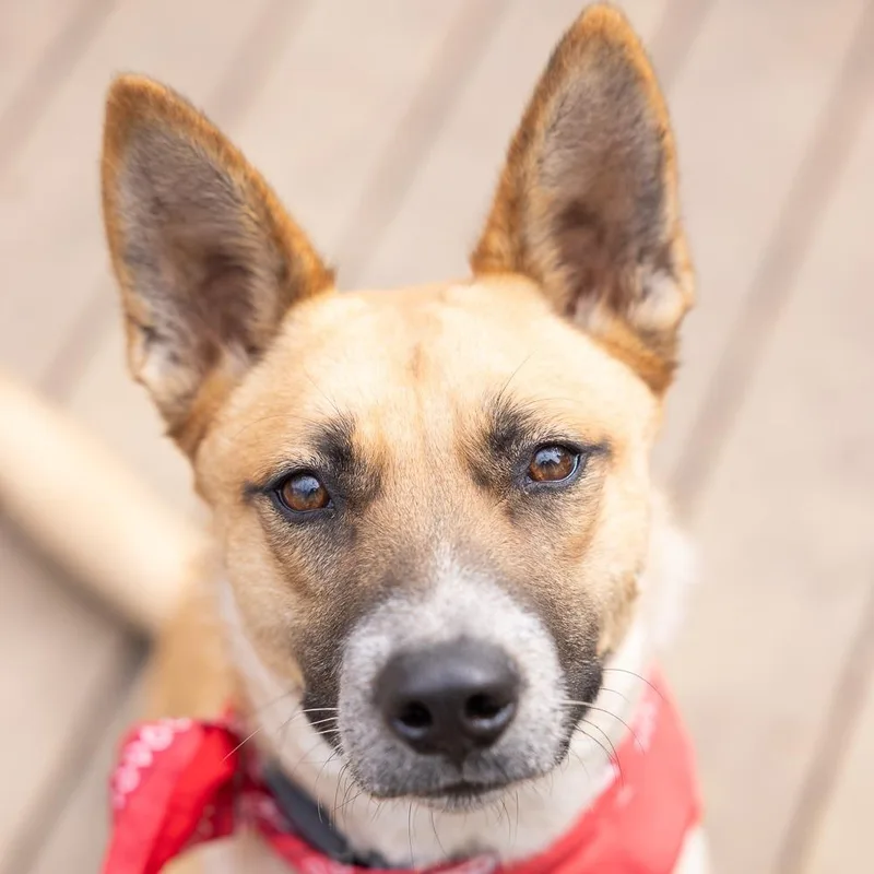 Red Bull thumbnail 2