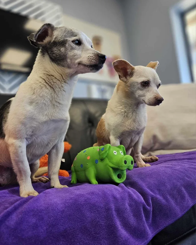 Jack And Lexi thumbnail 2