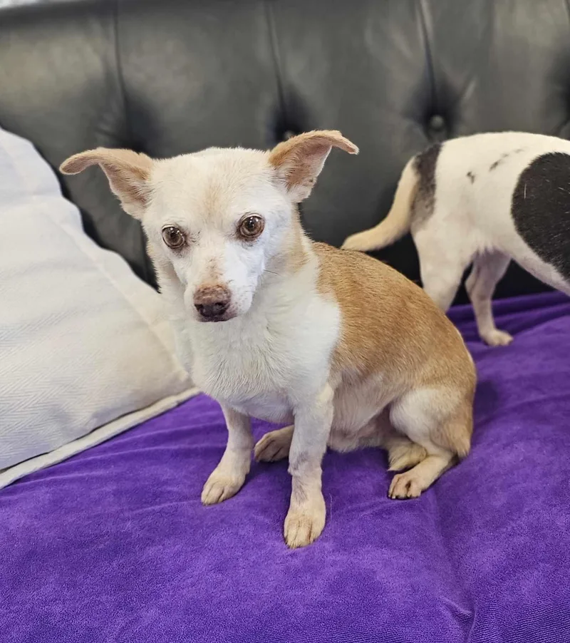 Jack And Lexi thumbnail 4