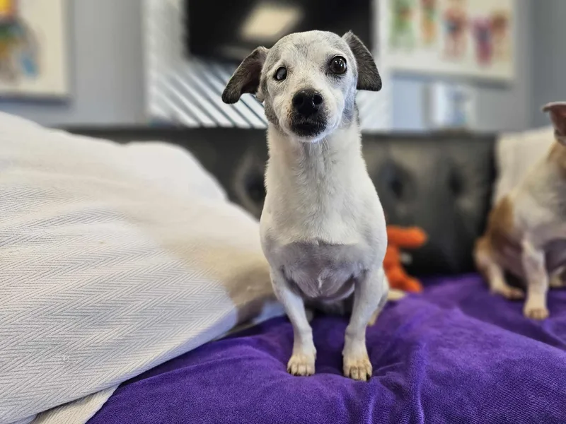 Jack And Lexi thumbnail 6