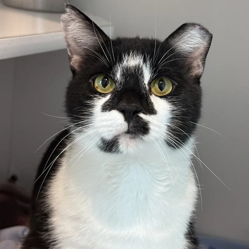 Hard Rock thumbnail 2