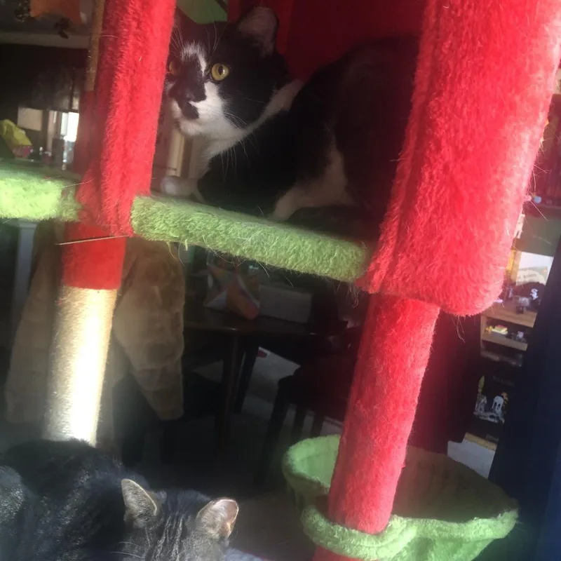 Hard Rock thumbnail 3