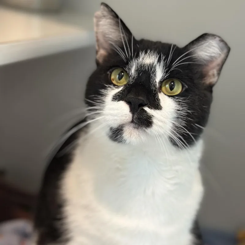 Hard Rock thumbnail 4