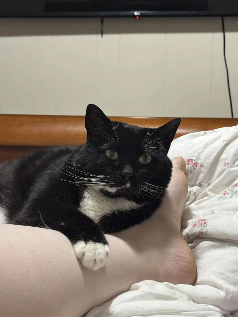 Clementine thumbnail 4