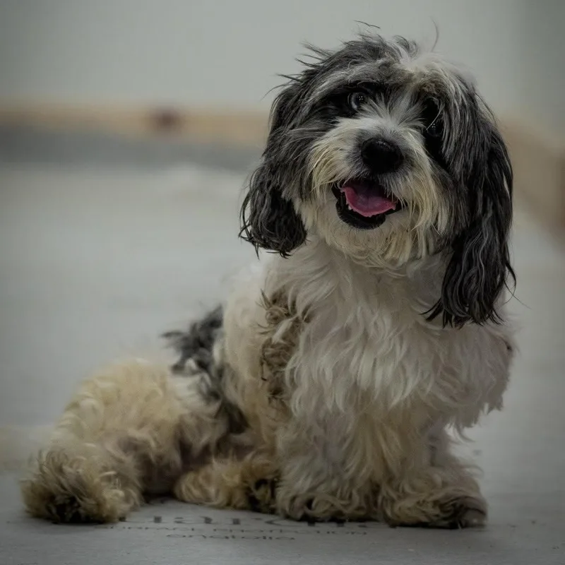 Ernie thumbnail 2