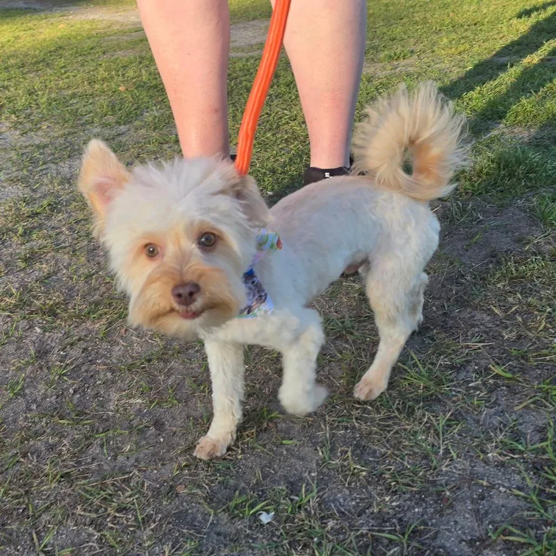 Caramel Aka Mel thumbnail 6