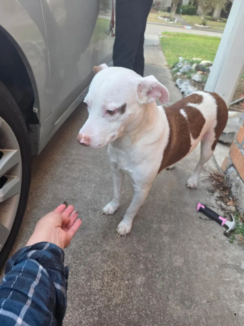 Michi The Mushy Snuggler thumbnail 3