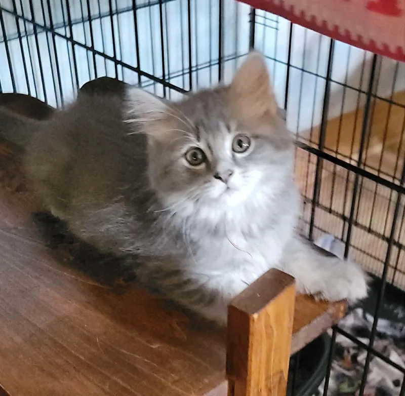 Stormy