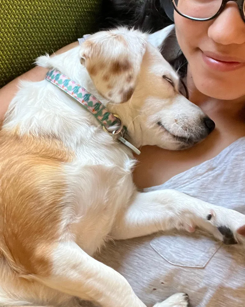 Bippity Boppity Boop thumbnail 3