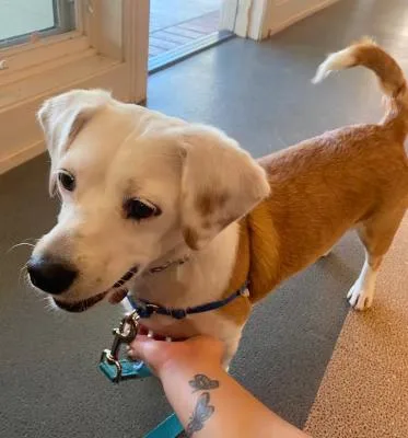 Bippity Boppity Boop thumbnail 4