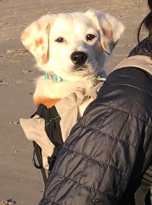 Bippity Boppity Boop thumbnail 5