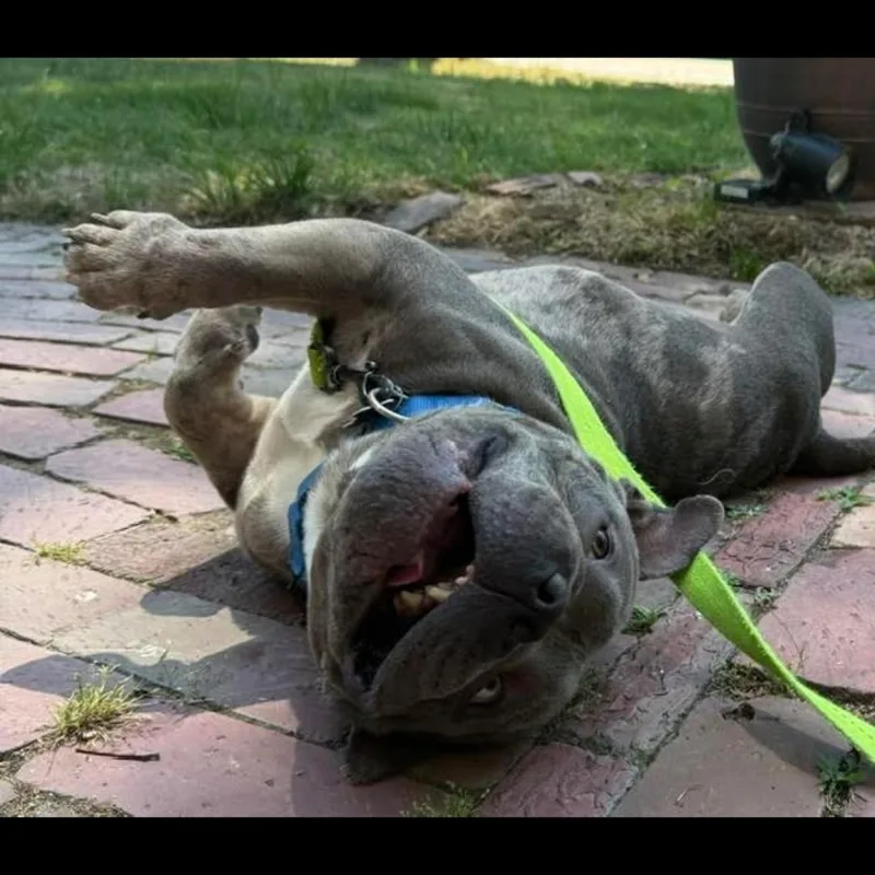 Theo thumbnail 3