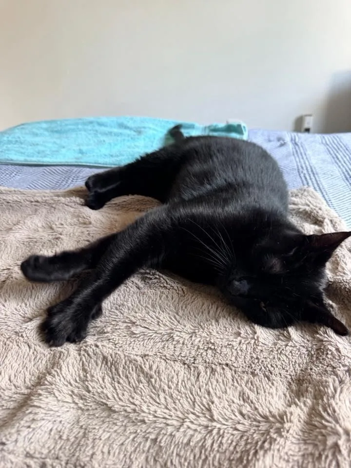 Salem
